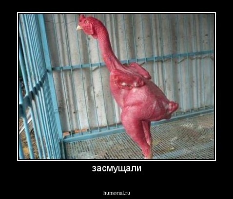 засмущали