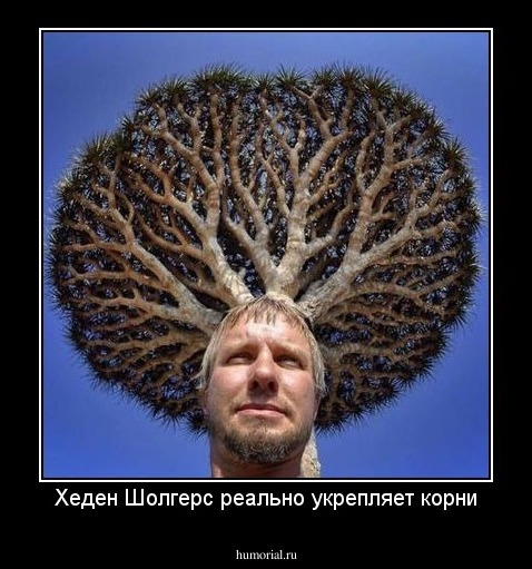 Хеден Шолгерс реально укрепляет корни