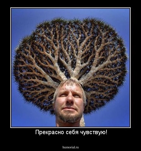  Прекрасно себя чувствую!