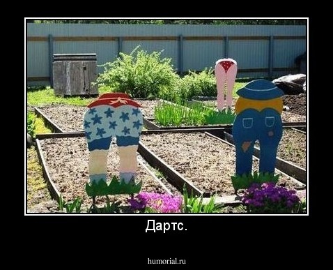 Дартс.