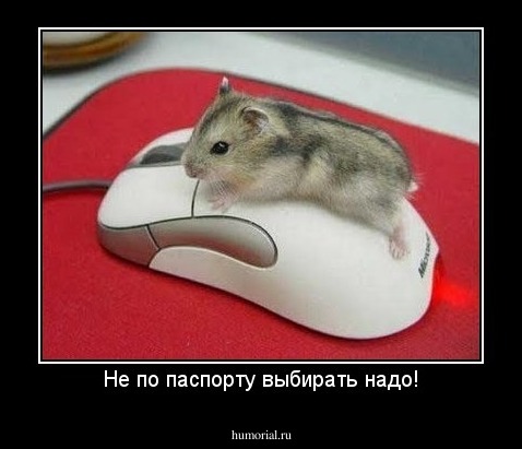 Не по паспорту выбирать надо!