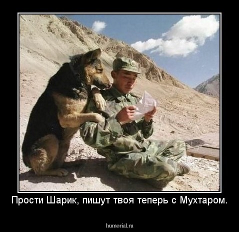Прости Шарик, пишут твоя теперь с Мухтаром.