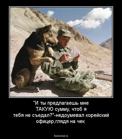 "И ты предлагаешь мне ТАКУЮ сумму, чтоб я тебя не съедал?"-недоумевал корейский офицер,глядя на чек