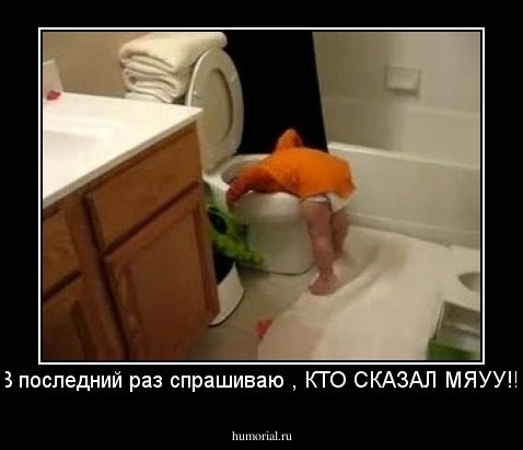 В последний раз спрашиваю , КТО СКАЗАЛ МЯУУ!!!