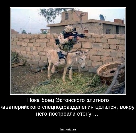 Пока боец Эстонского элитного кавалерийского спецподразделения  целился, вокруг него построили стену ...