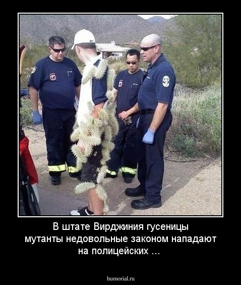 В штате Вирджиния гусеницы мутанты недовольные законом нападают на полицейских ...