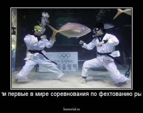 Прошли первые в мире соревнования по фехтованию рыбой ...