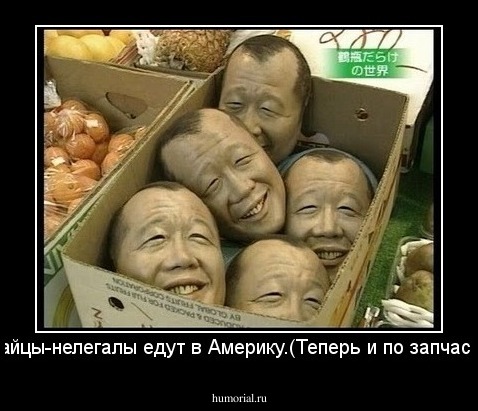 Китайцы-нелегалы едут в Америку.(Теперь и по запчастям)