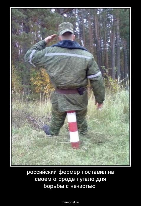 российский фермер поставил на своем огороде пугало для борьбы с нечистью
