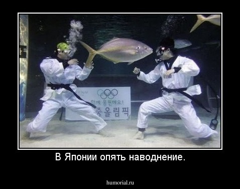 В Японии опять наводнение.