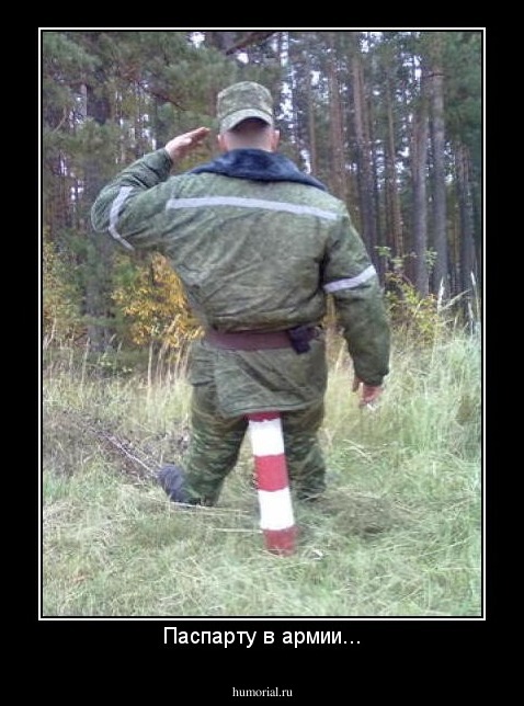 Паспарту в армии...