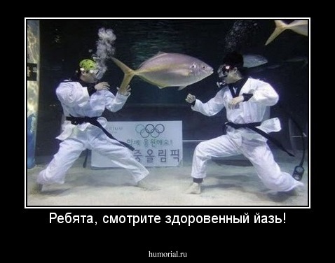 Ребята, смотрите здоровенный йазь!