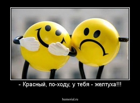 - Красный, по-ходу, у тебя - желтуха!!!