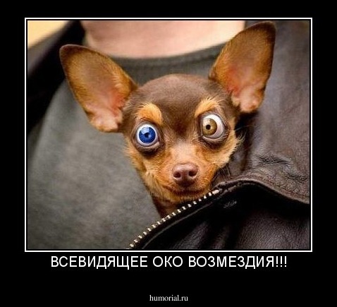 ВСЕВИДЯЩЕЕ ОКО ВОЗМЕЗДИЯ!!!