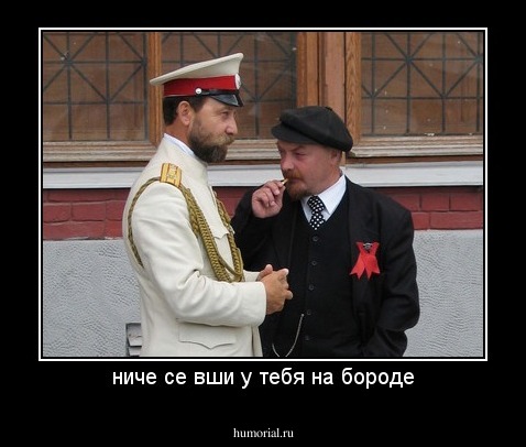 ниче се вши у тебя на бороде