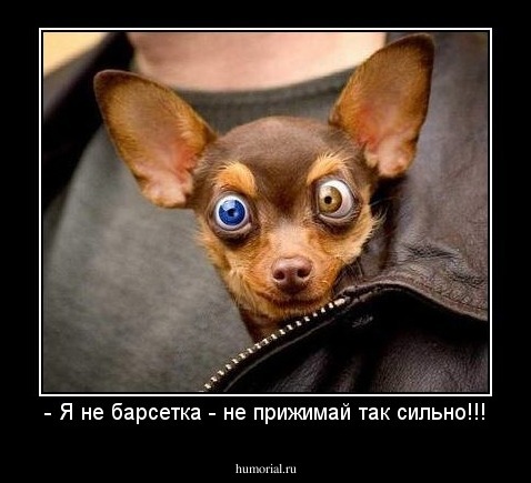 - Я не барсетка - не прижимай так сильно!!!
