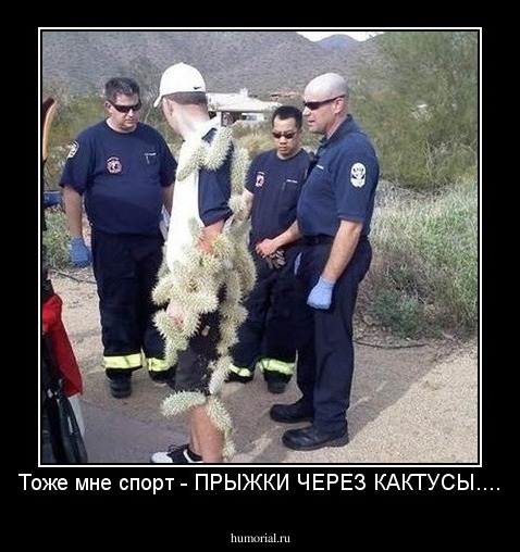 Тоже мне спорт - ПРЫЖКИ ЧЕРЕЗ КАКТУСЫ....