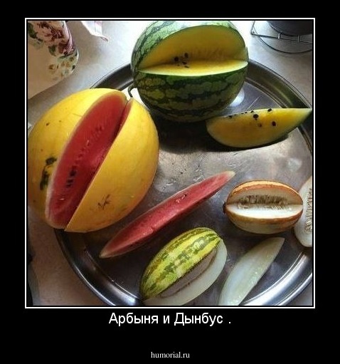 Арбыня и Дынбус .