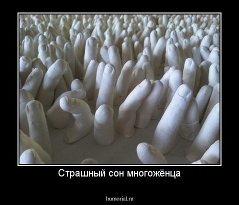 Страшный сон многожёнца