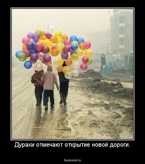 Дураки отмечают открытие новой дороги.