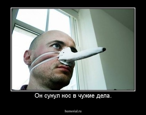 Он сунул нос в чужие дела.