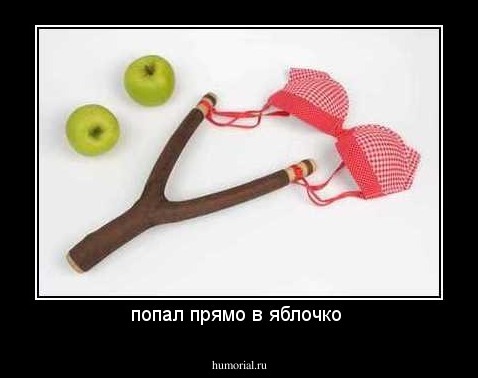 попал прямо в яблочко 