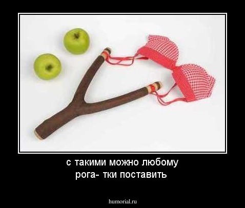 с такими можно любому рога-  тки поставить 