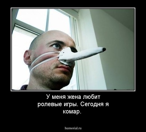 У меня жена любит ролевые игры. Сегодня я комар.