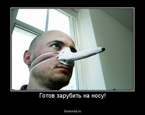 Готов зарубить на носу!