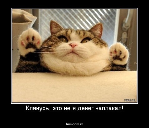 Клянусь, это не я денег наплакал!
