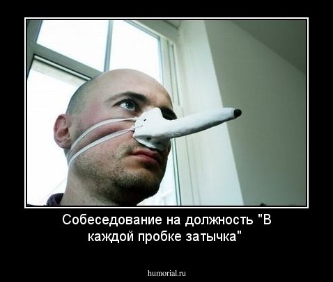 Собеседование на должность "В каждой пробке затычка"