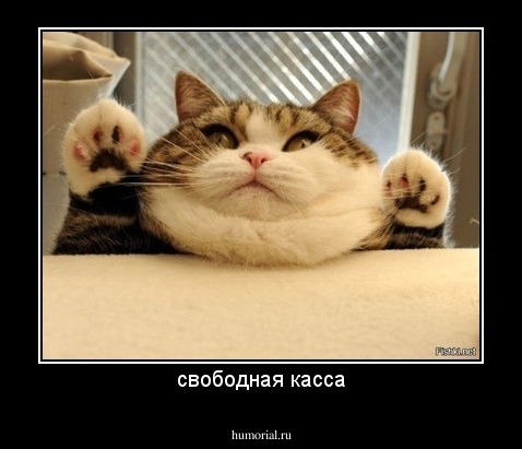 свободная касса