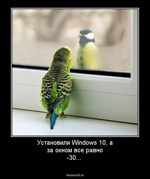 Установили Windows 10, а за окном все равно -30...