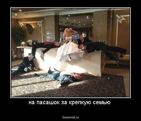 на пасашок за крепкую семью 