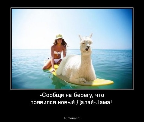 -Сообщи на берегу, что появился новый Далай-Лама!