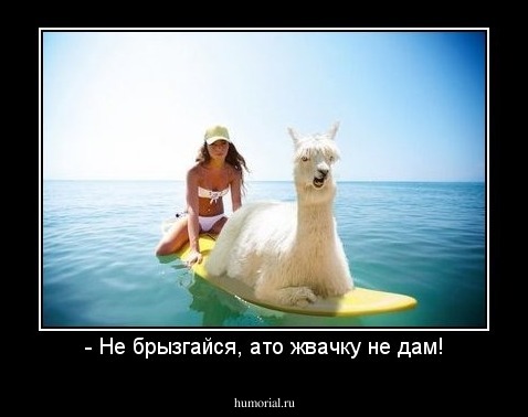 - Не брызгайся, ато жвачку не дам!