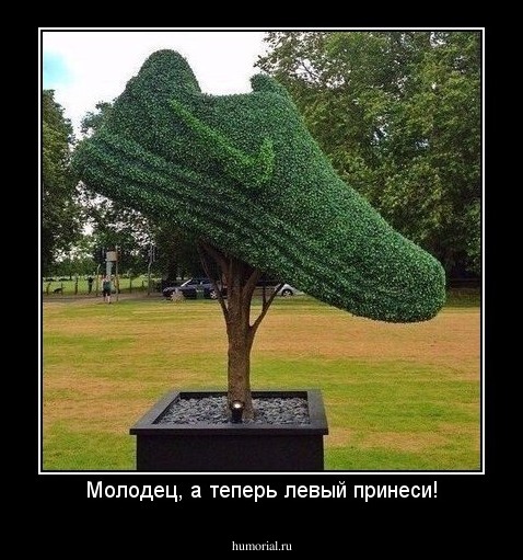 Молодец, а теперь левый принеси!