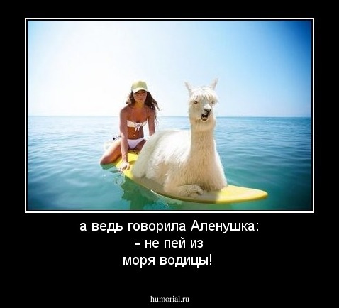 а ведь говорила Аленушка: - не пей из моря водицы!