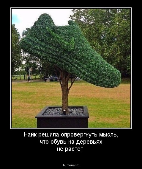 Найк решила опровергнуть мысль, что обувь на деревьях не растёт 