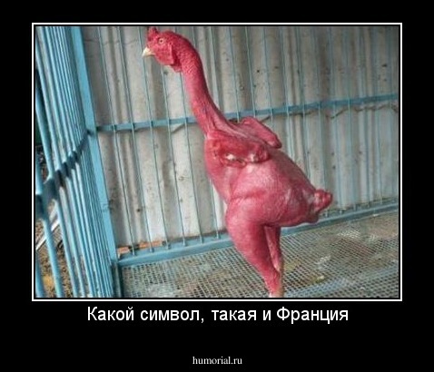 Какой символ, такая и Франция