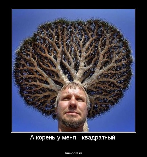 А корень у меня - квадратный!