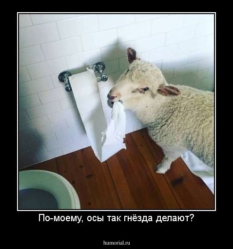 По-моему, осы так гнёзда делают?