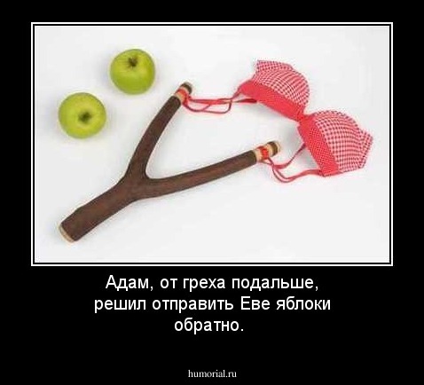 Адам, от греха подальше, решил отправить Еве яблоки обратно.