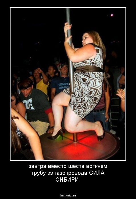 завтра вместо  шеста воткнем трубу из газопровода СИЛА СИБИРИ