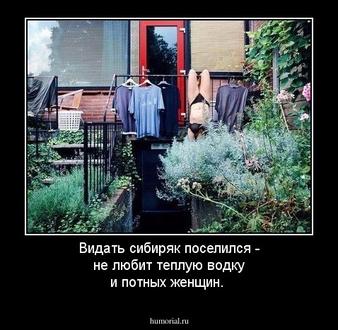 Видать сибиряк поселился - не любит теплую водку и потных женщин.