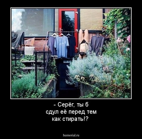 - Серёг, ты б сдул её перед тем как стирать!?