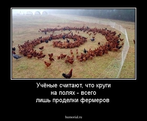 Учёные считают, что круги на полях - всего лишь проделки фермеров