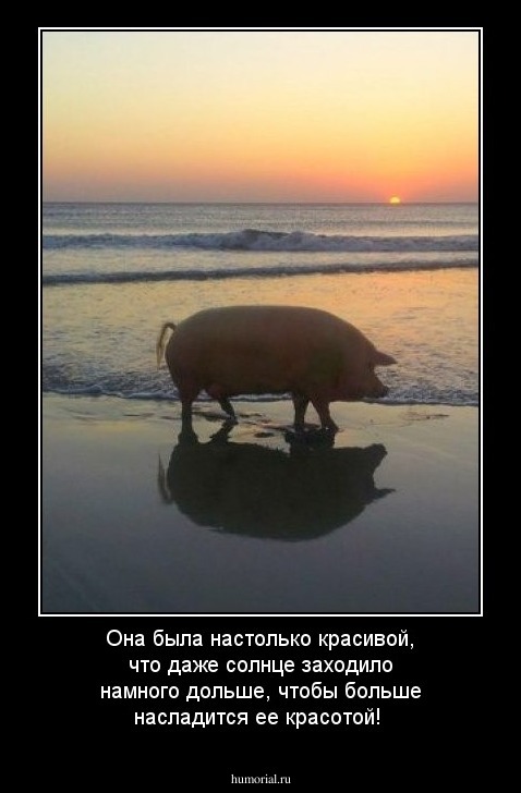 Она была настолько красивой, что даже солнце заходило намного дольше, чтобы больше насладится ее красотой!