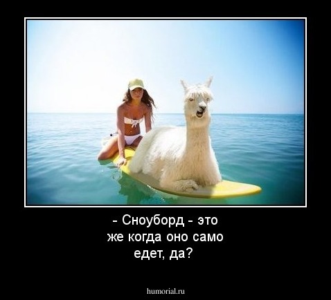 - Сноуборд - это же когда оно само едет, да?