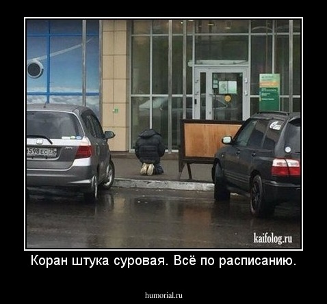 Коран штука суровая. Всё по расписанию.